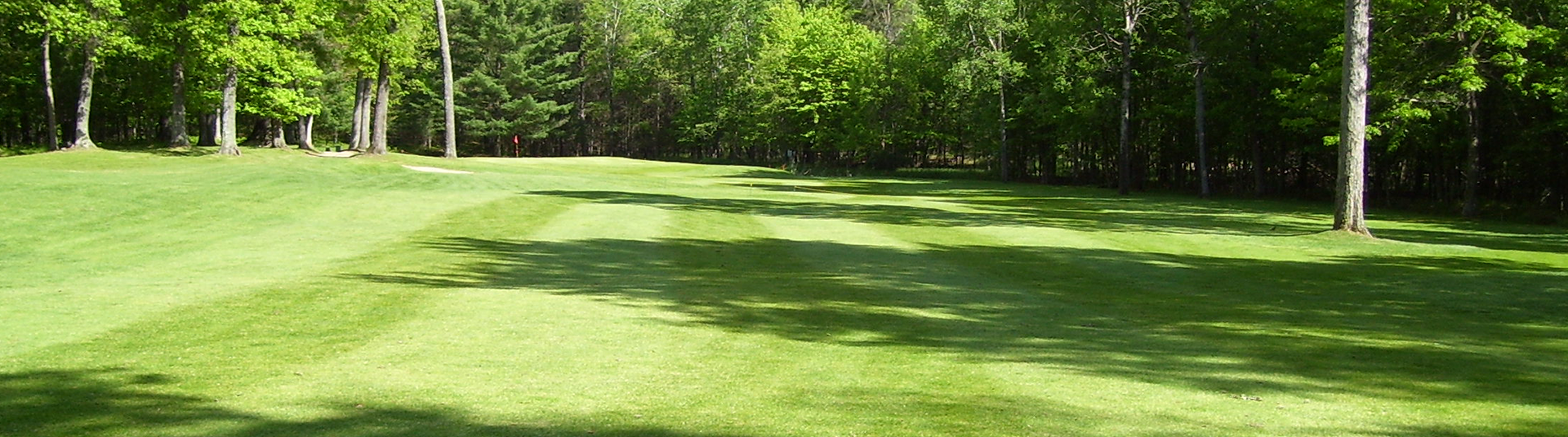 view of golf course